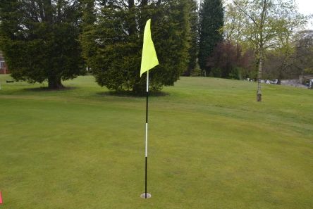 2 ply flourescent yellow golf flag
