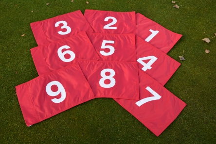 2Ply Numbered Flag Sets2