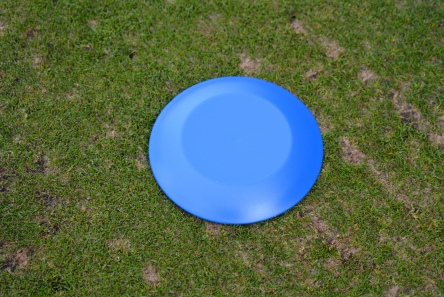 blue low profile plastic tee marker