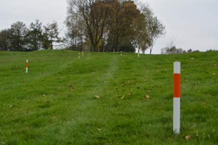 buggy control stakes for path on golf course