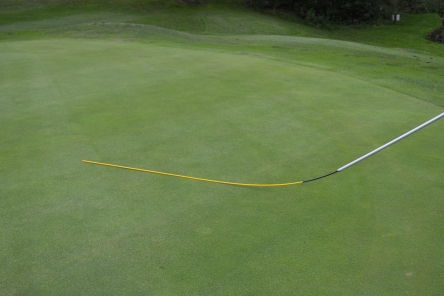 golf greens switch stick