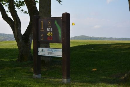 heavy duty golf tee sign