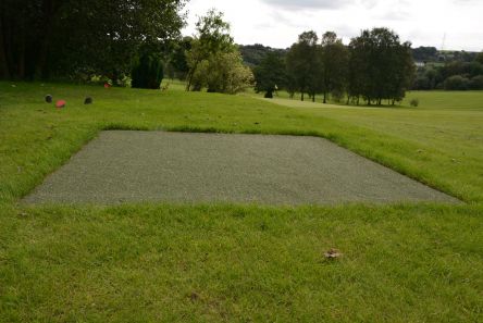 Tee Grass (non infill)