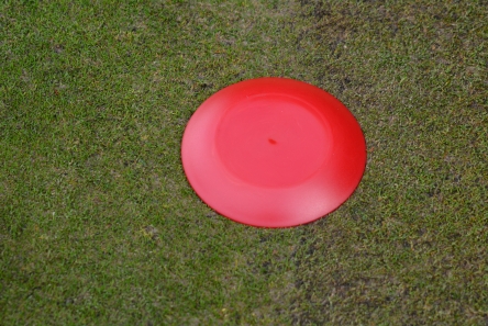 red low profile plastic tee marker