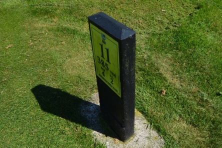 R P Tee Info Rail685