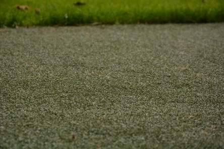 year round tee for golf course